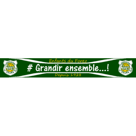 Echarpe Grandir Ensemble Echarpe Grandir Ensemble