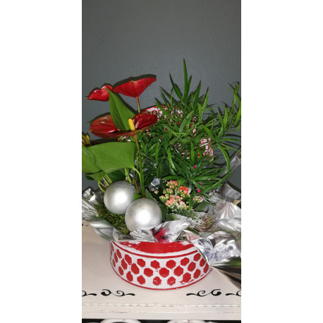 COMPOSITION DE PLANTES DANS BOITE METAL