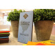 PLANTATION RIACHUELO LAIT -BRESIL