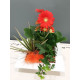 COMPOSITION DE PLANTES D'INTERIEUR