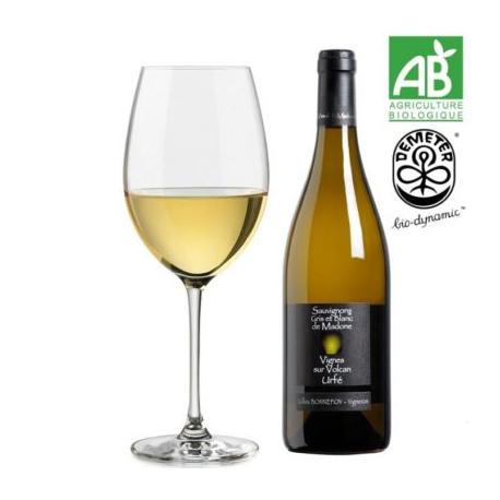 Gilles Bonnefoy « Sauvignon Gris et Blanc » - IGP Urfé Gilles Bonnefoy « Sauvignon Gris et Blanc » - IGP Urfé