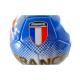 Ballon de Football France