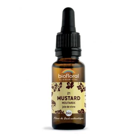Fleur de Bach Mustard N°21 Fleur de Bach Mustard N°21