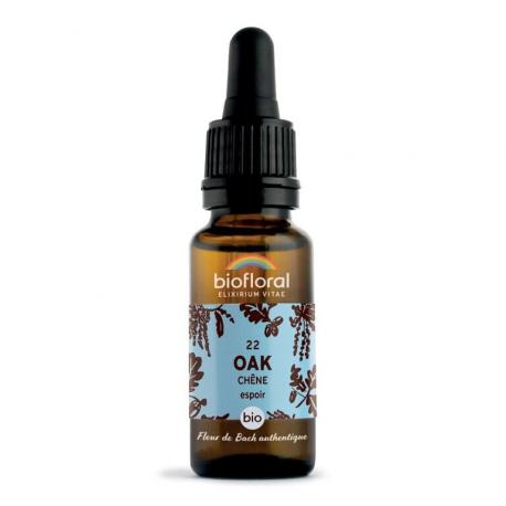 Fleur de Bach Oak n° 22 Fleur de Bach Oak n° 22