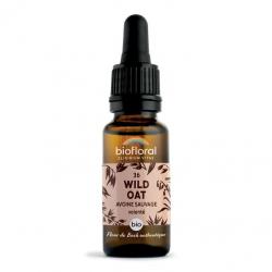 Fleur de Bach Wild Oat N°36