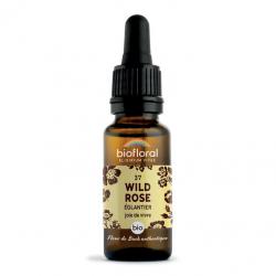 Fleur de Bach Wild Rose n° 37