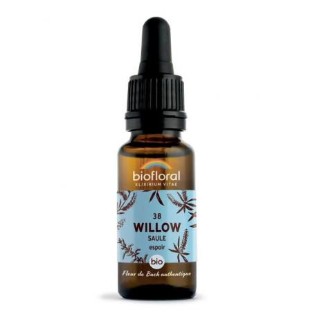 Fleur de Bach Willow N°38