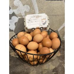 Oeufs de poules élevés en pleines air