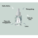 Concentré bonne mine Bali 30 ml