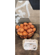 Les p'tites poules rousses