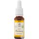 Fleur de Bach Centaury N°4