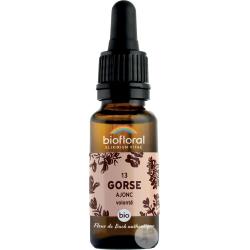 Fleur de Bach Gorse n° 13