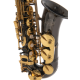 Roy Benson Saxophone Alto Mib AS 202K