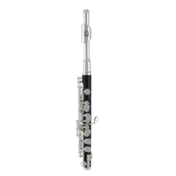 Roy Benson Flûte Piccolo PC-502