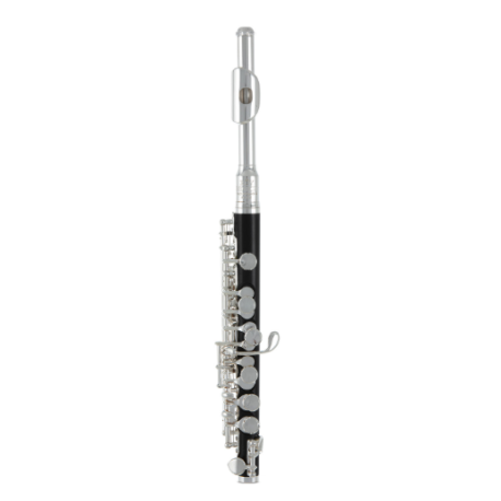 Roy Benson Flûte Piccolo PC-502