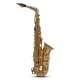 Roy Benson Saxophone Alto Mib AS 202