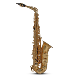 Roy Benson Saxophone Alto Mib AS 202