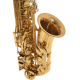 Roy Benson Saxophone Alto Mib AS 202