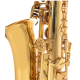 Roy Benson Saxophone Alto Mib AS 202