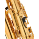 Yamaha Saxophone - Alto Mib Verni YAS280