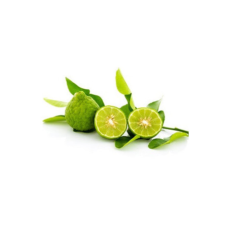 Huile Essentielle de Bergamote BIO Huile Essentielle de Bergamote BIO
