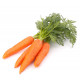 Huile de macération à la carotte BIO