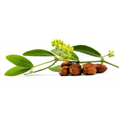 Huile végétale Jojoba