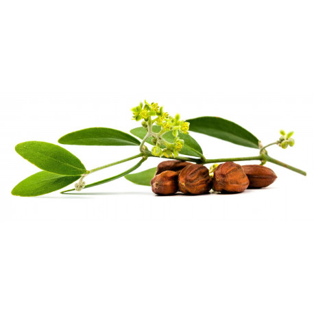 Huile végétale Jojoba