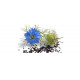 Huile Végétale Nigelle