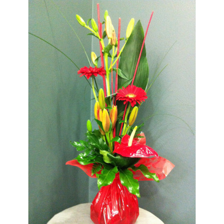 Bouquet linéaire poche d'eau rouge