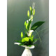 Bouquet linéaire poche d'eau blanc