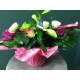 bouquet fagot dans poche d'eau rose