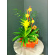 Composition plantes dans zinc orange