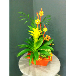 Composition plantes dans zinc orange