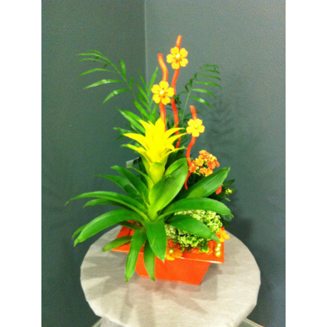 Composition plantes dans zinc orange Composition plantes dans zinc orange