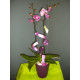Orchidée phalaenopsis avec cache pot et déco rose