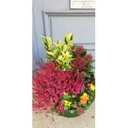 Coupe de plantes extérieure