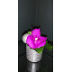 fleuron d'orchidée