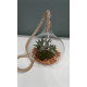 Terrarium