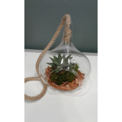 Terrarium