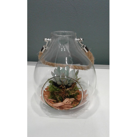 Terrarium Terrarium