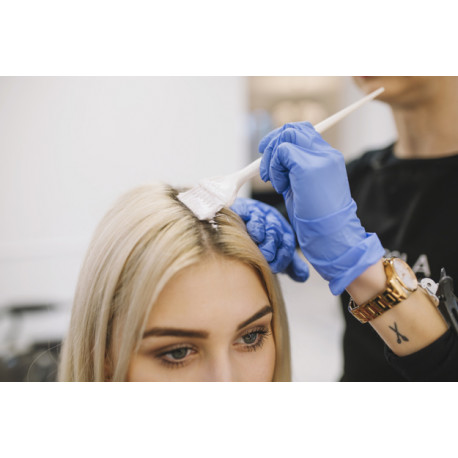 Shampooing Coloration Brushing Shampooing Coloration Brushing