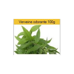 Verveine odorante