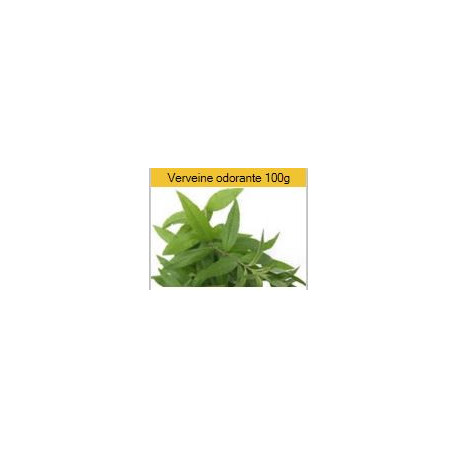 Verveine odorante Verveine odorante