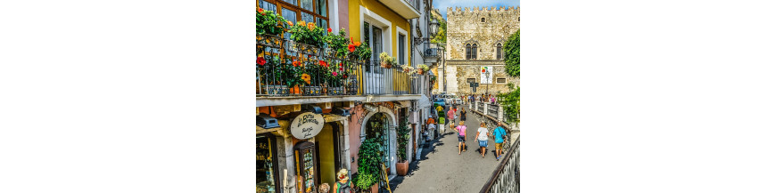 Souvenirs et produits du terroir